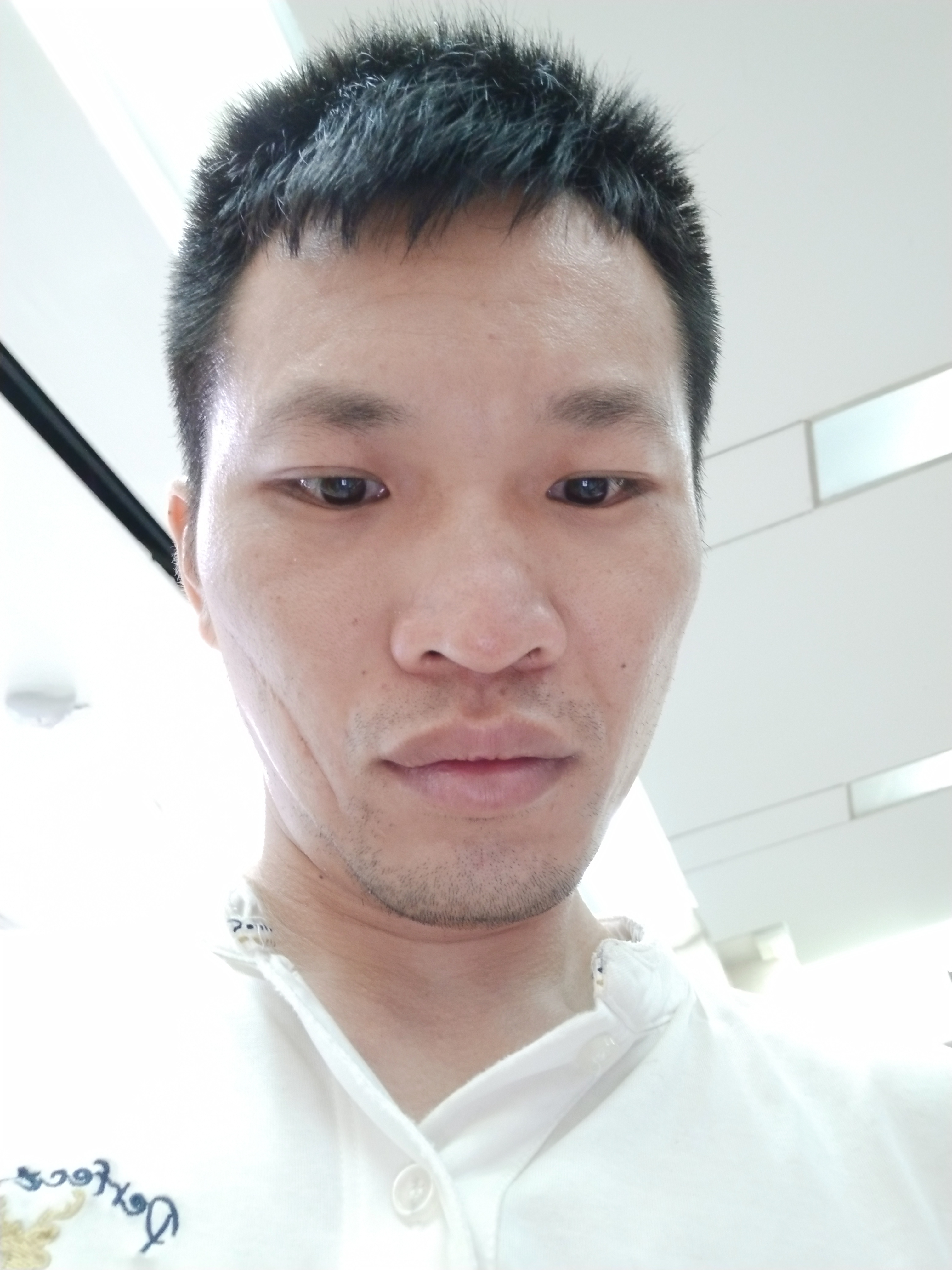 ������Ƭ