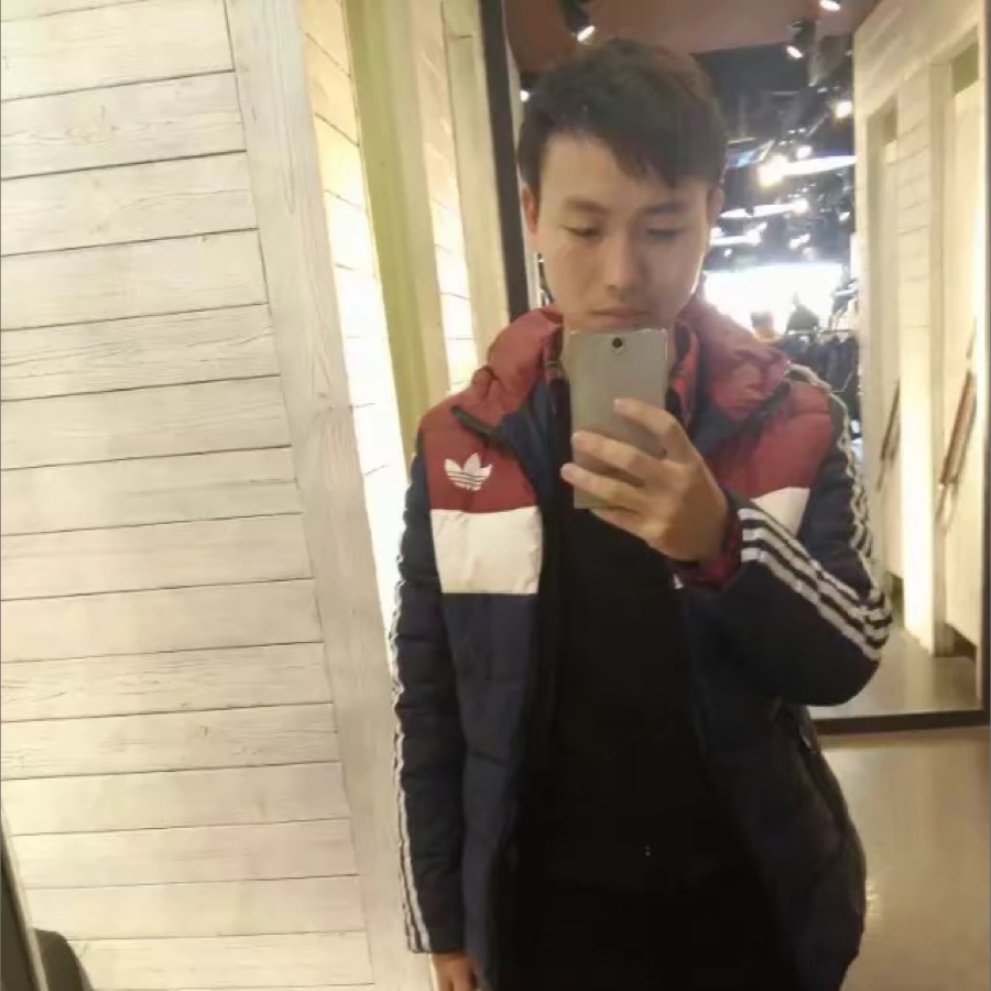 ������Ƭ