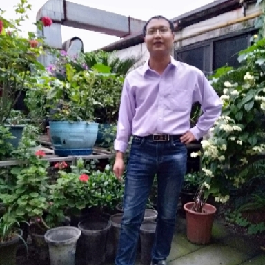 ������Ƭ